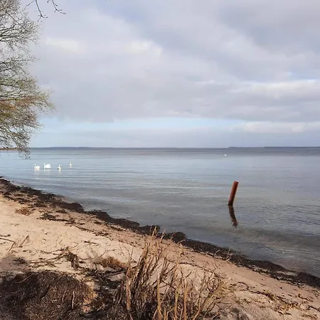 8 Person In Hojslev-by Traum *