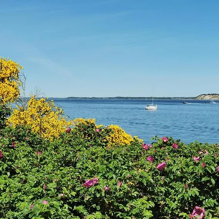 Tatil Evi 8 Person In Hojslev-by Traum